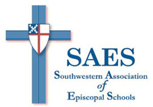 SAES logo